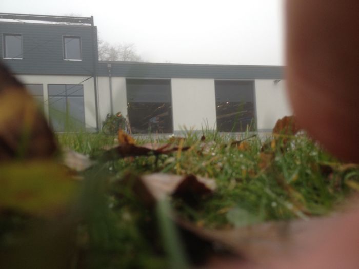 Herbstlaub vor dem SRG-Bootshaus.