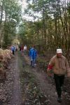 bosseln_01_waldweg.jpg